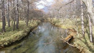 20141027_132907_re