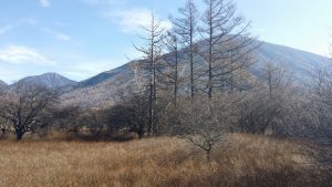 20141108_101117_Re