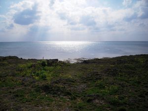 DSCN0039_re