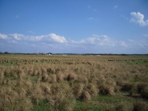 DSCN0058_re