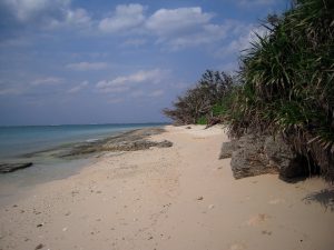 DSCN0124_re