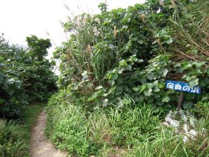 DSCN0130_re