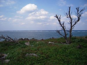 DSCN0132_re