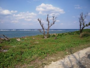 DSCN0142_re