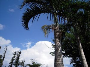 DSCN0209_re