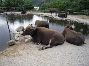 DSCN0228_re