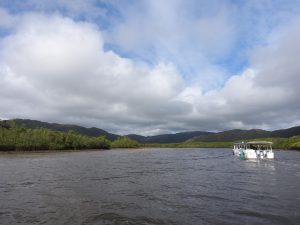 DSCN0287_iriomote_re