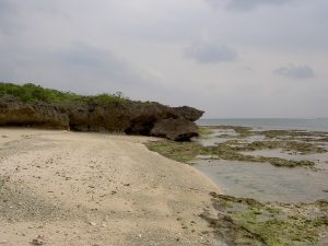 PICT1108_re