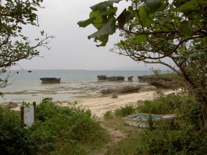 PICT1110_re