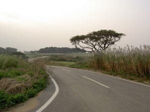 PICT1117_re