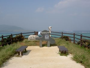 PICT1132_re