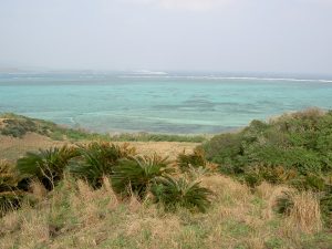 PICT1138_re