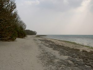 PICT1143_re