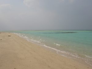 PICT1150_re