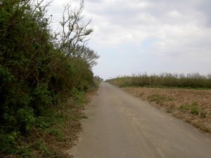 PICT1174_re