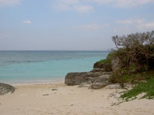 PICT1175_re