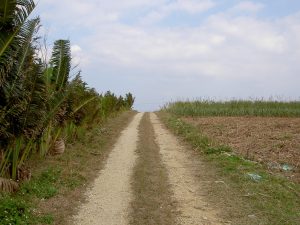 PICT1187_re