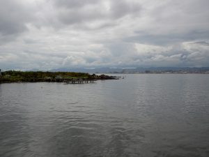 PICT1604_re