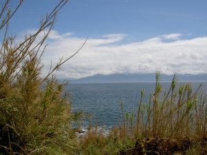 PICT1635_re