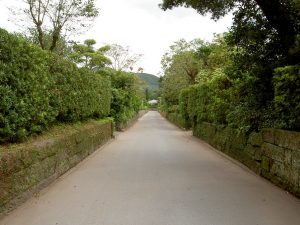 PICT1654_re