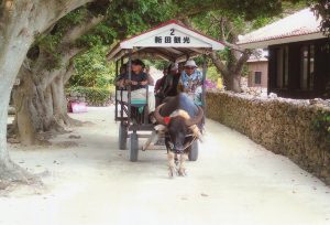 img007_re